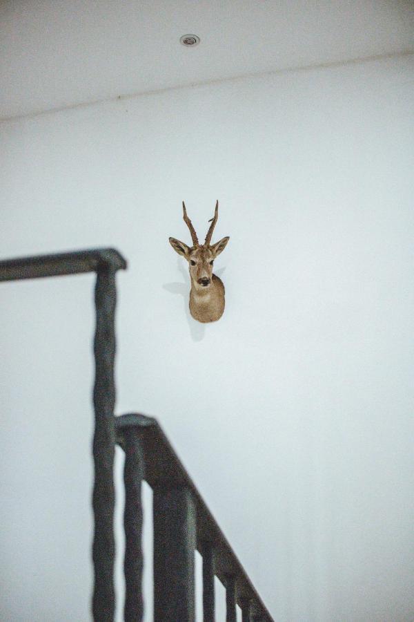 Country House Oberfeld วิพาวา ภายนอก รูปภาพ